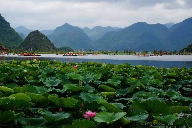 2020年云南康養(yǎng)旅游發(fā)展具備哪些資源優(yōu)勢？現(xiàn)狀如何？