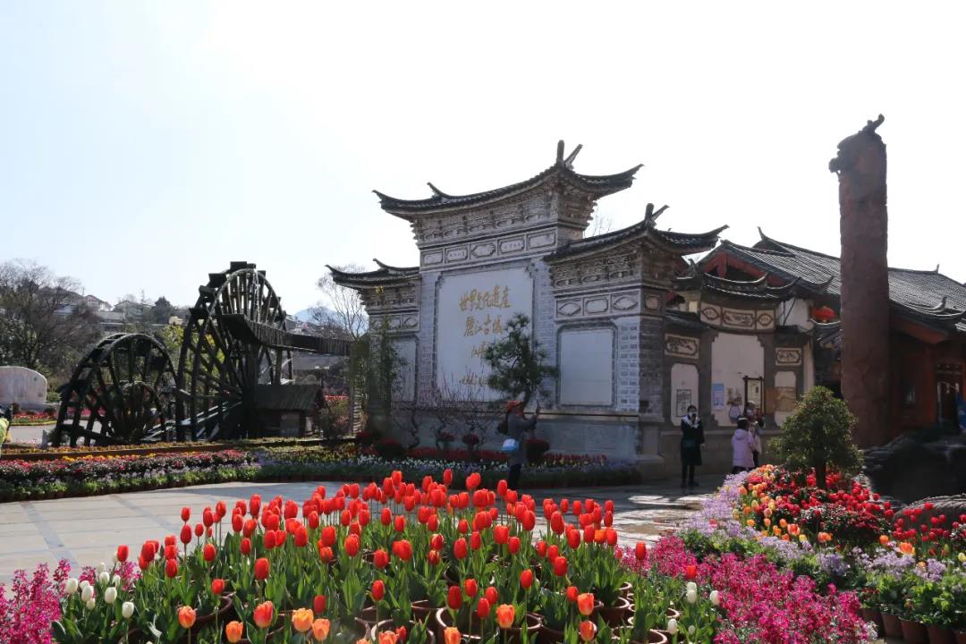 年味足、春意濃! 麗江古城春節(jié)假日旅游回暖