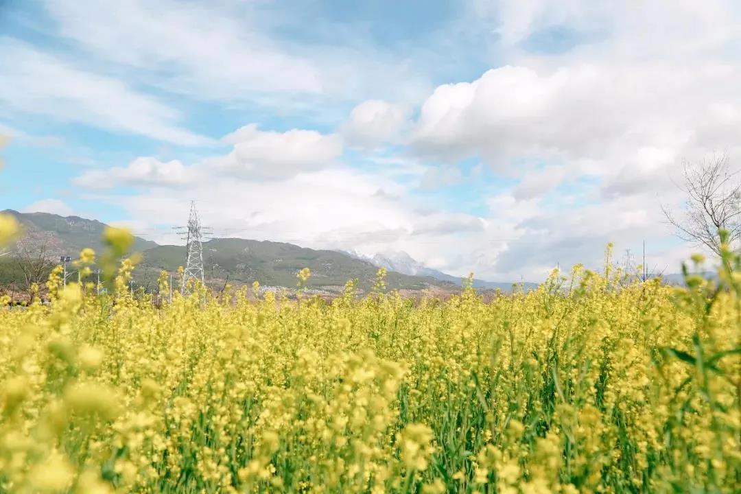 多彩麗江，村游正當(dāng)時，約起來！