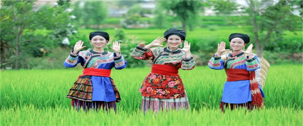 相約水鄉(xiāng)，邂逅激情！華坪縣新莊鄉(xiāng)首屆鄉(xiāng)村旅游節(jié)即將開幕