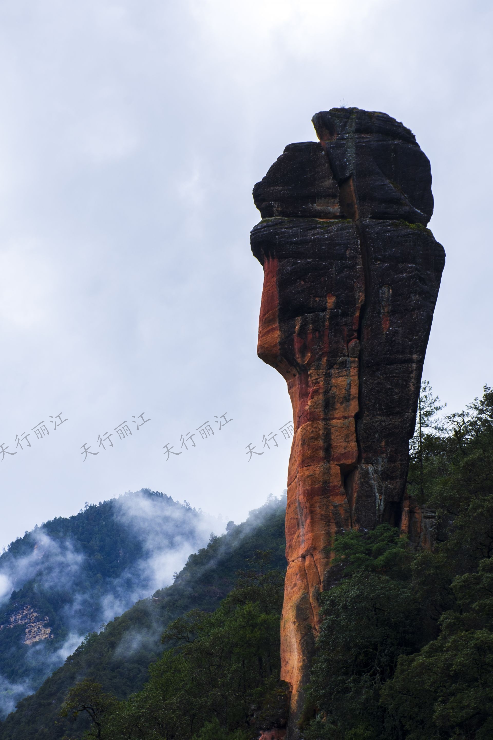 麗江老君山黎明景區(qū)因其避世的清幽、壯美的丹霞，成為了一處令人向往的秘境。 在這里，可以游壯美千龜山。景區(qū)以丹霞地貌聞名，是國(guó)內(nèi)面積最大、發(fā)育最完整的丹霞地貌。以千龜山為代表，其形如烏龜?shù)膲邀惥坝^，堪稱中國(guó)一絕。游人可乘坐索道，輕松游覽這一奇觀。