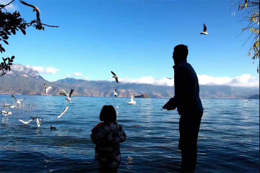 麗江傳媒公司：夢(mèng)境何處尋？——麗江打卡景點(diǎn)之瀘沽湖旅游攻略