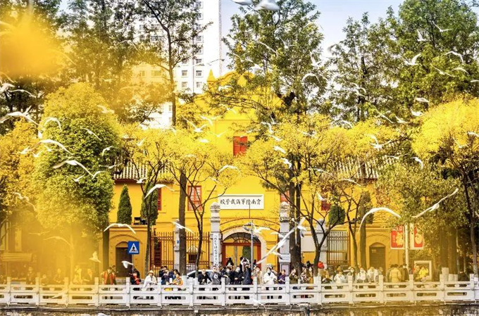 麗江旅游攻略：來云南邂逅不一樣的冬天，體驗麗江非遺文化