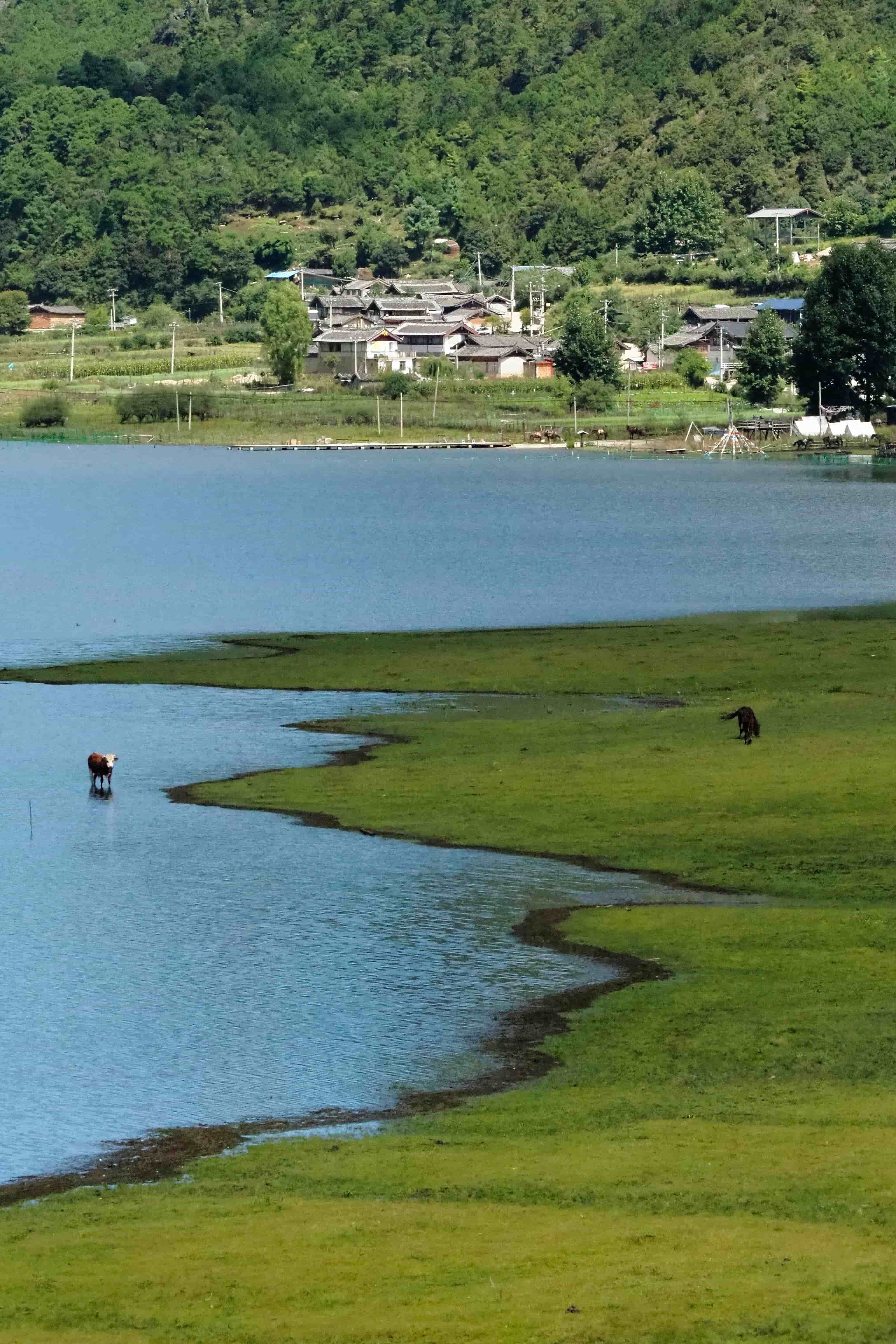 云南旅游,云南旅行社,云南團建公司,云南策劃公司,云南會議會展,云南旅游地接,麗江旅游,麗江旅行社,麗江團建公司,麗江策劃公司,麗江會議會展,麗江策劃執(zhí)行：麗江自駕游推薦小眾秘境